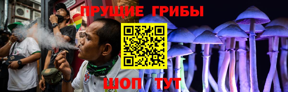Псилоцибиновые грибы Cubensis  Вход с VPN  Прокопьевск  Псилоцибиновые грибы Psilocybine cubensis 